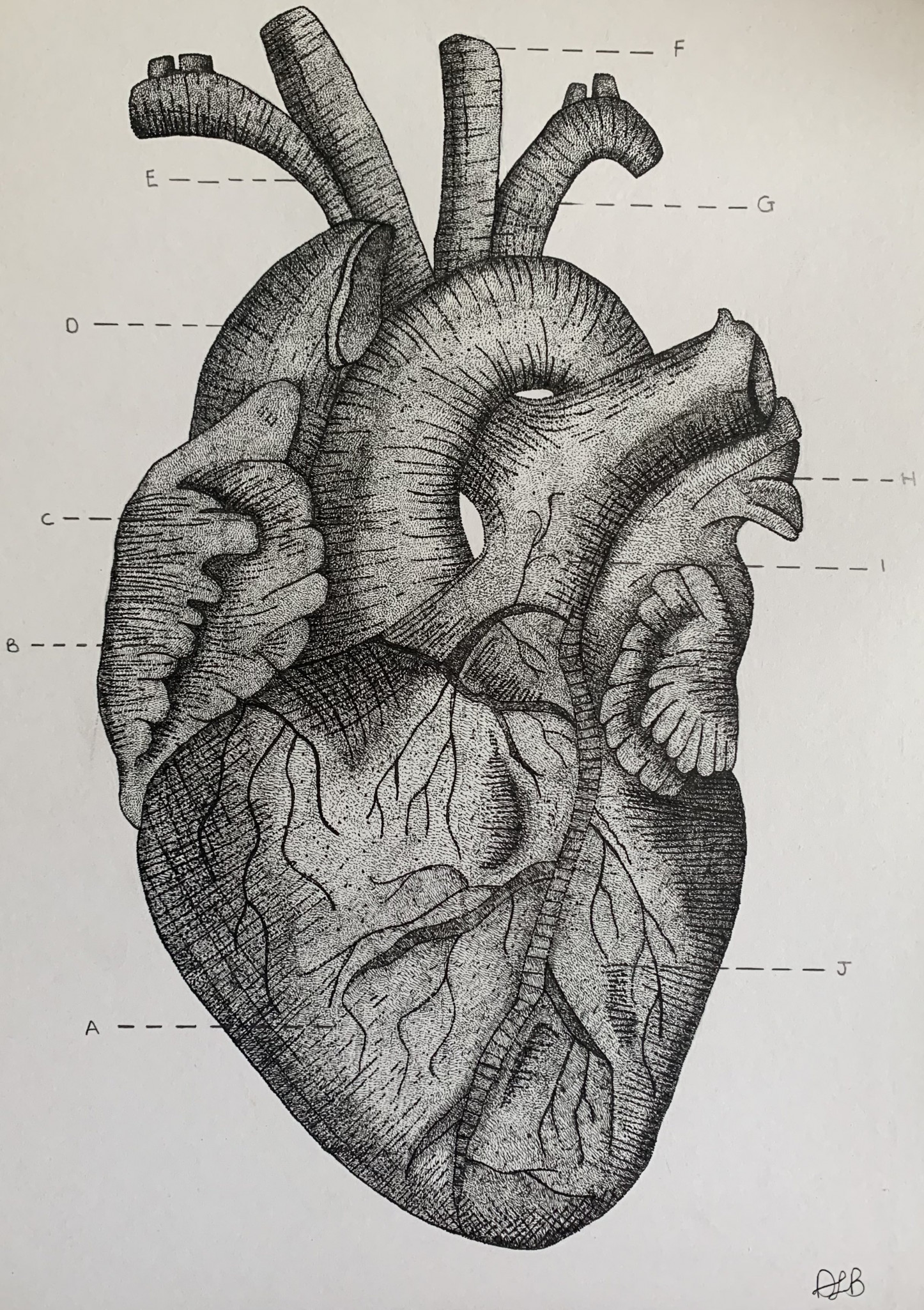 Stunning Heart drawing | Doodle art designs, Heart drawing, Bff drawings-saigonsouth.com.vn