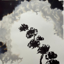 Safe Arbor 3 Watercolour and ink painting