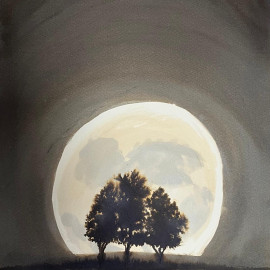 Moonshine 1 Moonshine 1