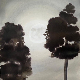 Moonshine 5 Moonshine 5